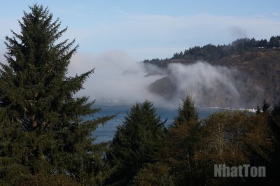 IMG_2331a.jpg