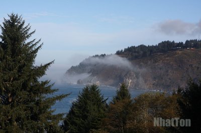 IMG_2360a.jpg