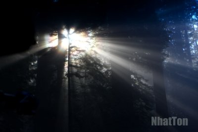IMG_2367a.jpg