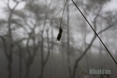 IMG_2490a.jpg