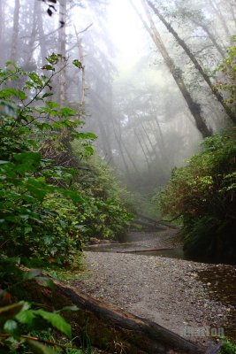 IMG_2601a.jpg