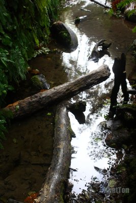 IMG_2639a.jpg