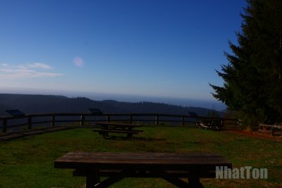 IMG_2798a.jpg