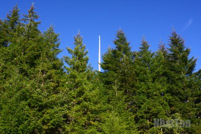 IMG_2802aa.jpg