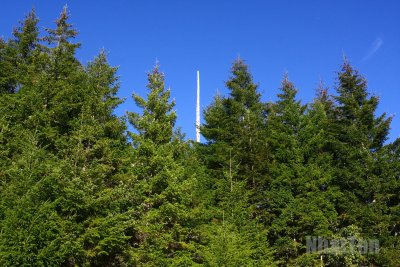 IMG_2802aaa.jpg