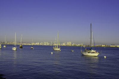 San Diego City nhin tu harbor