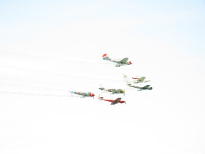 g5/37/833537/3/106398478.atBiAh5e.jpg