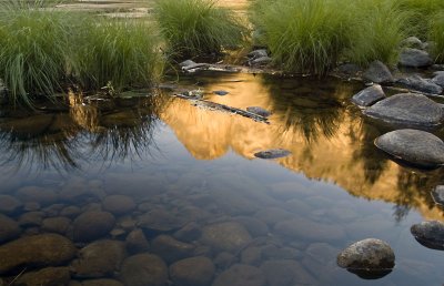 Merced_Reflection.jpg