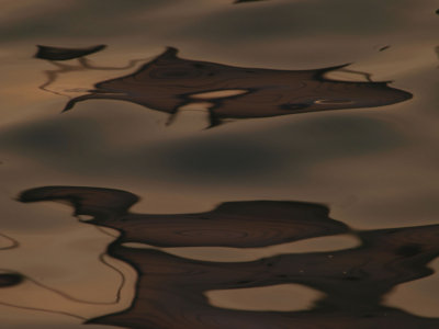 20080705074.jpg
