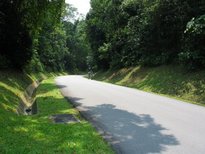 Old Upper Thomson Road, a long road with many steep slopes