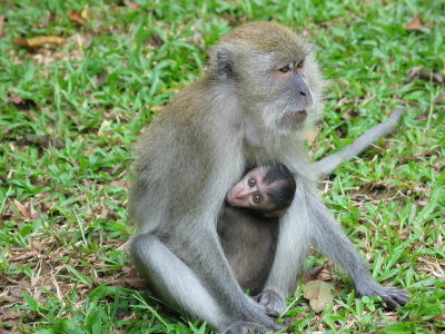 Mummy and Baby