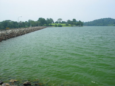 This is the water we may drink