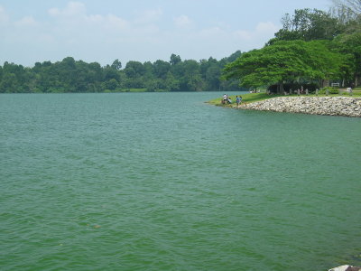 g5/38/156338/3/67462368.3jVYB4dE.jpg