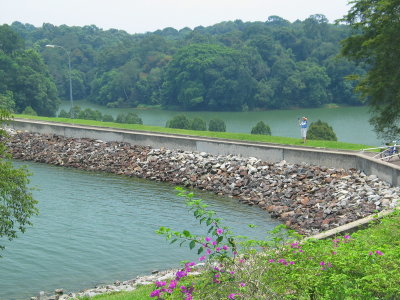 The Dam