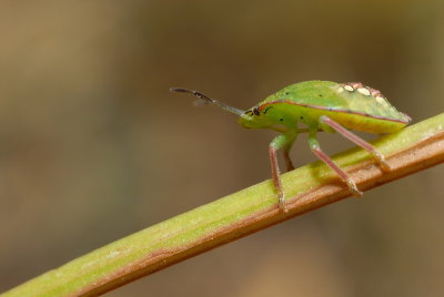 DSC_0118.JPG