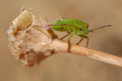 DSC_0120.JPG