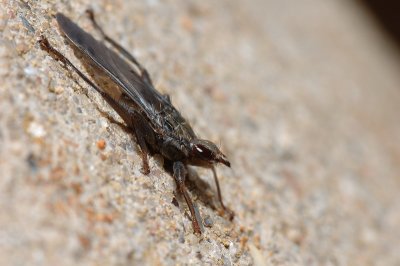 DSC_0023.JPG