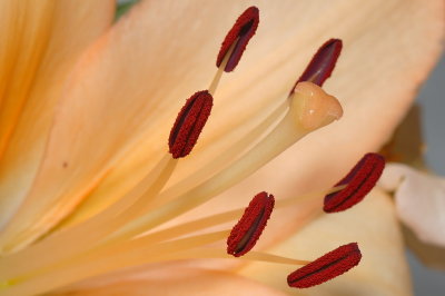 DSC_0004.JPG