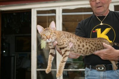 Martti holding Kitty