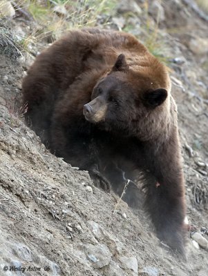 IMG_7849.jpg