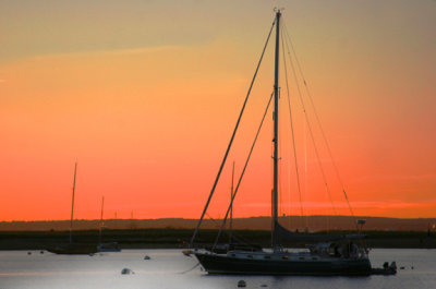 Snoozing in the Bay