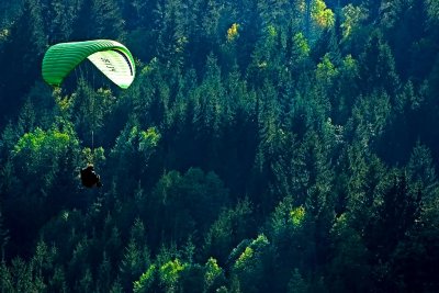 Green paraglider, Les Diablerets
