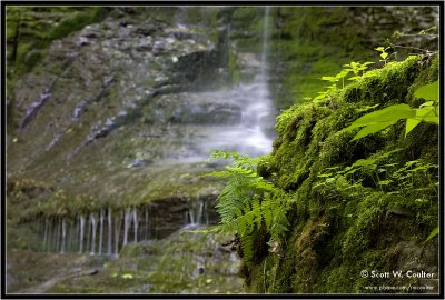 Bucktail Falls - Onondaga County, NY