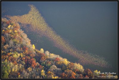 Fall color 2008 from the air - Polk County, Wisconsin