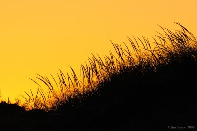 _NW81869 Dunes at Sunset