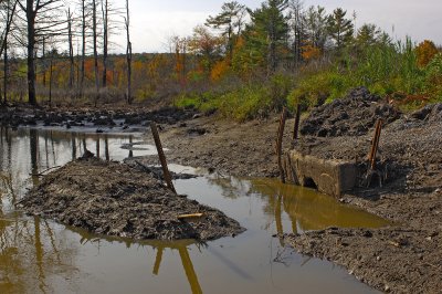 Haverhill Wetlands Mess At Outflow.jpg