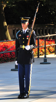 Guard - Tomb of Unknown Soldier