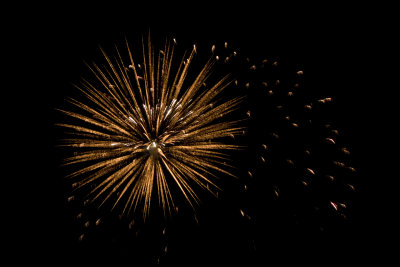 Fireworks 17 2008.jpg