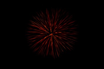 Fireworks 22 2008.jpg