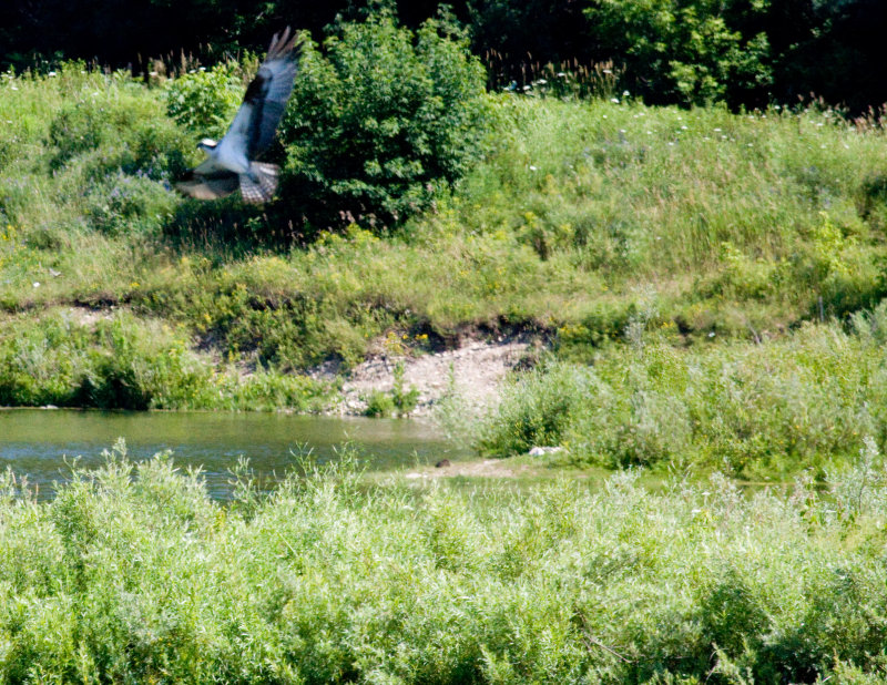 cropped IMG_0804.jpg