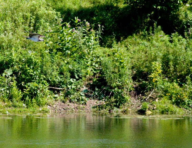 cropped IMG_0857.jpg