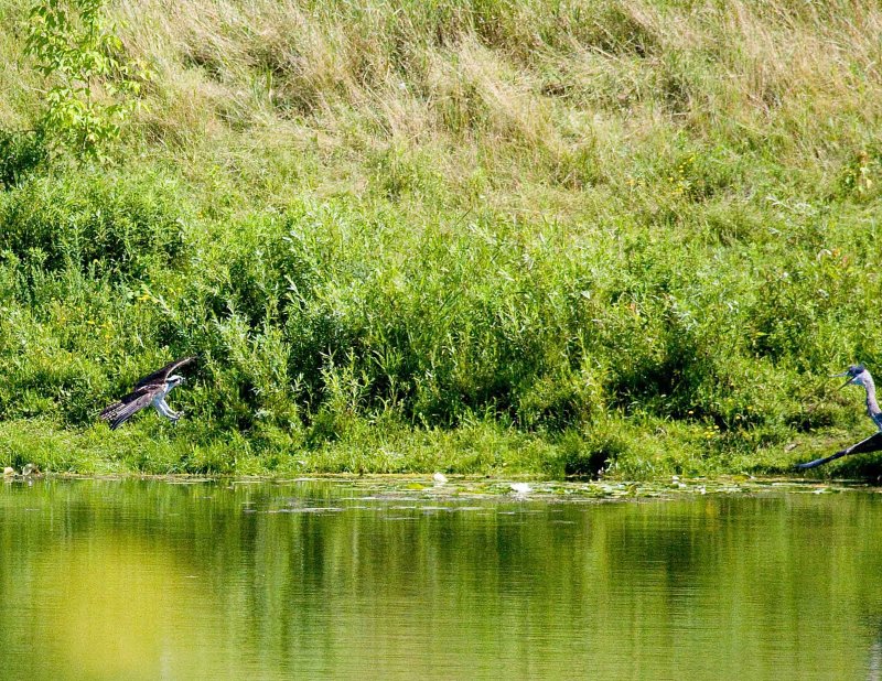 cropped IMG_0808.jpg