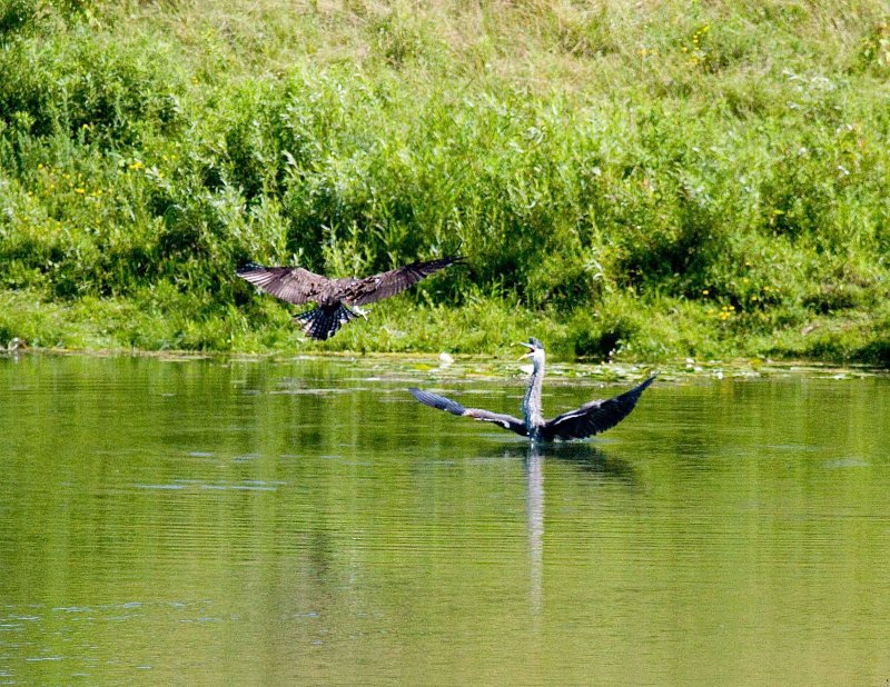 cropped IMG_0827.jpg
