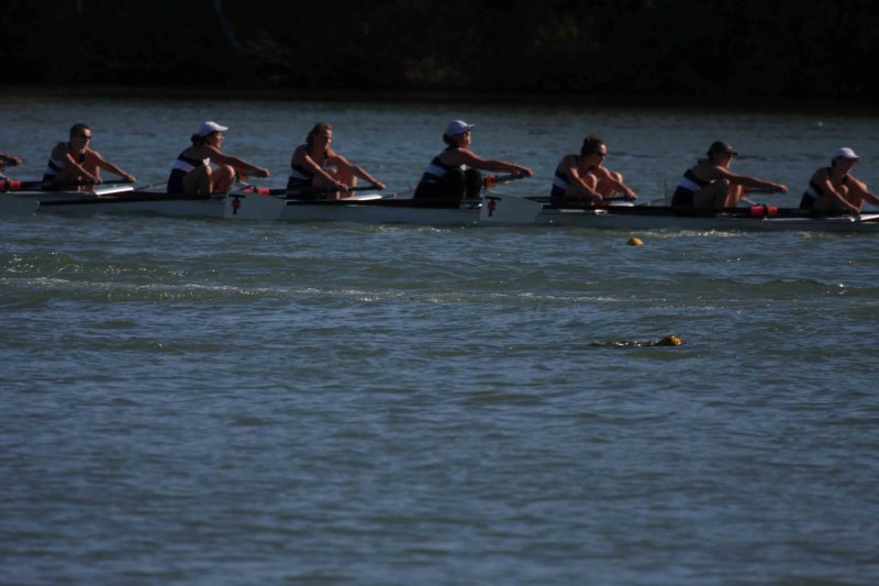 Regatta-5105.jpg