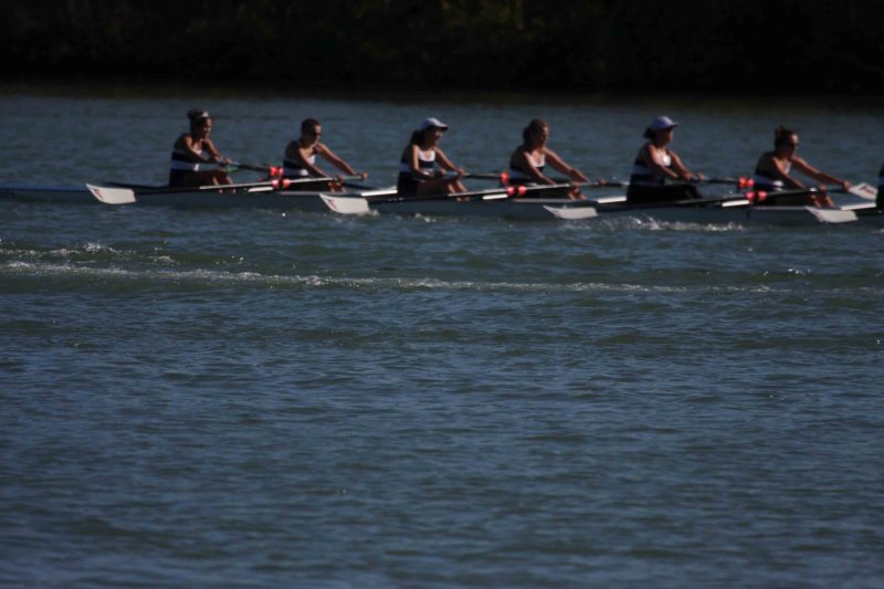 Regatta-5113.jpg