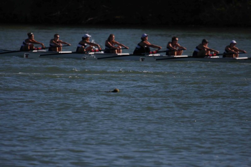 Regatta-5126.jpg