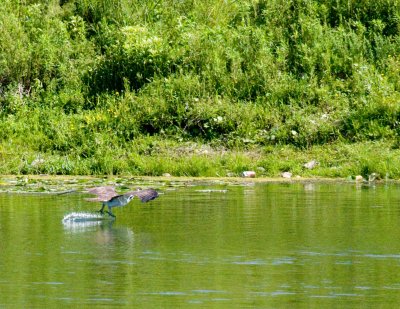 cropped IMG_0836.jpg