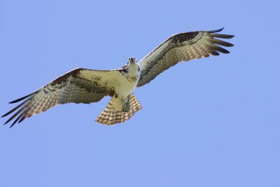 IMG_0319.jpg