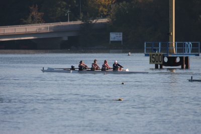 Regatta-4355.jpg