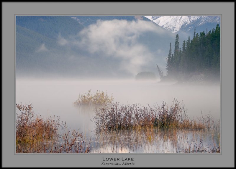 Morning Mist