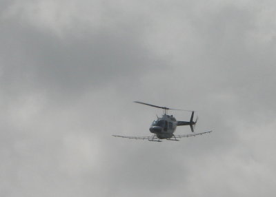 Spray helo by Dorothy