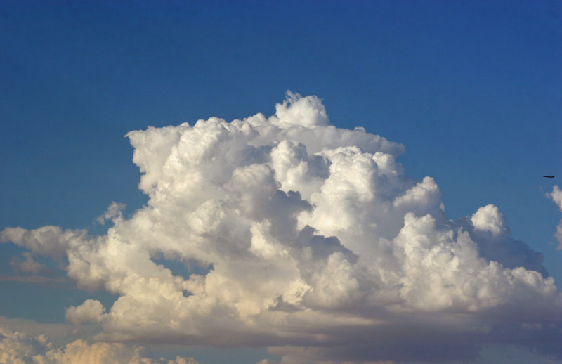 Thunder Cloud