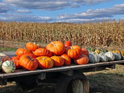 Shenandoah Valley: Sign of the season