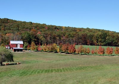Shenandoah Valley: Farm country