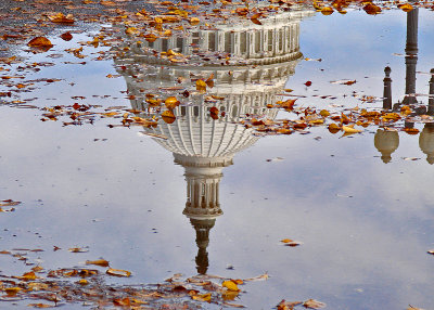 Capitol reflection