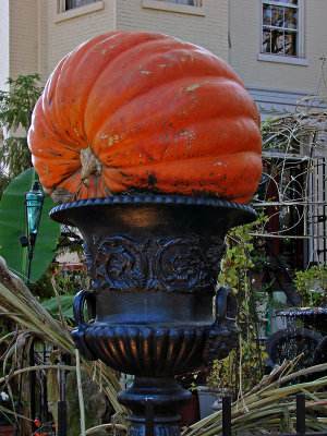 It's the giant pumpkin!